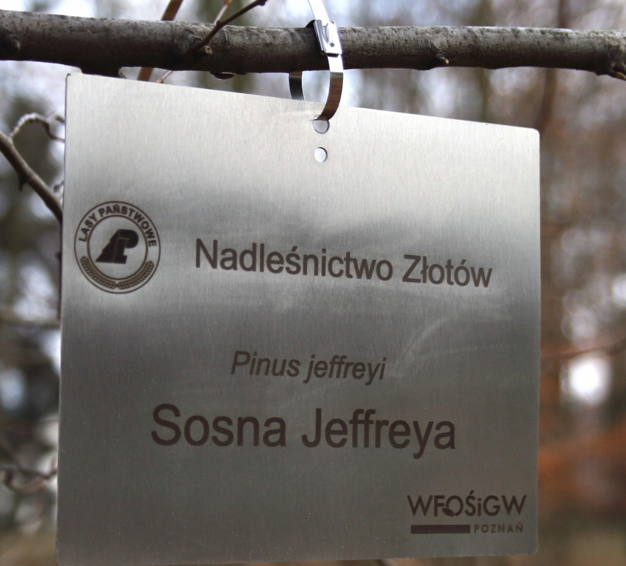 Záhradná plaketa/značka, nehrdzavejúca oceľ, gravírovaná laserom (125x85